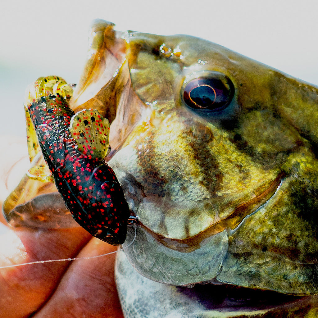 Rigging a Goby Shad