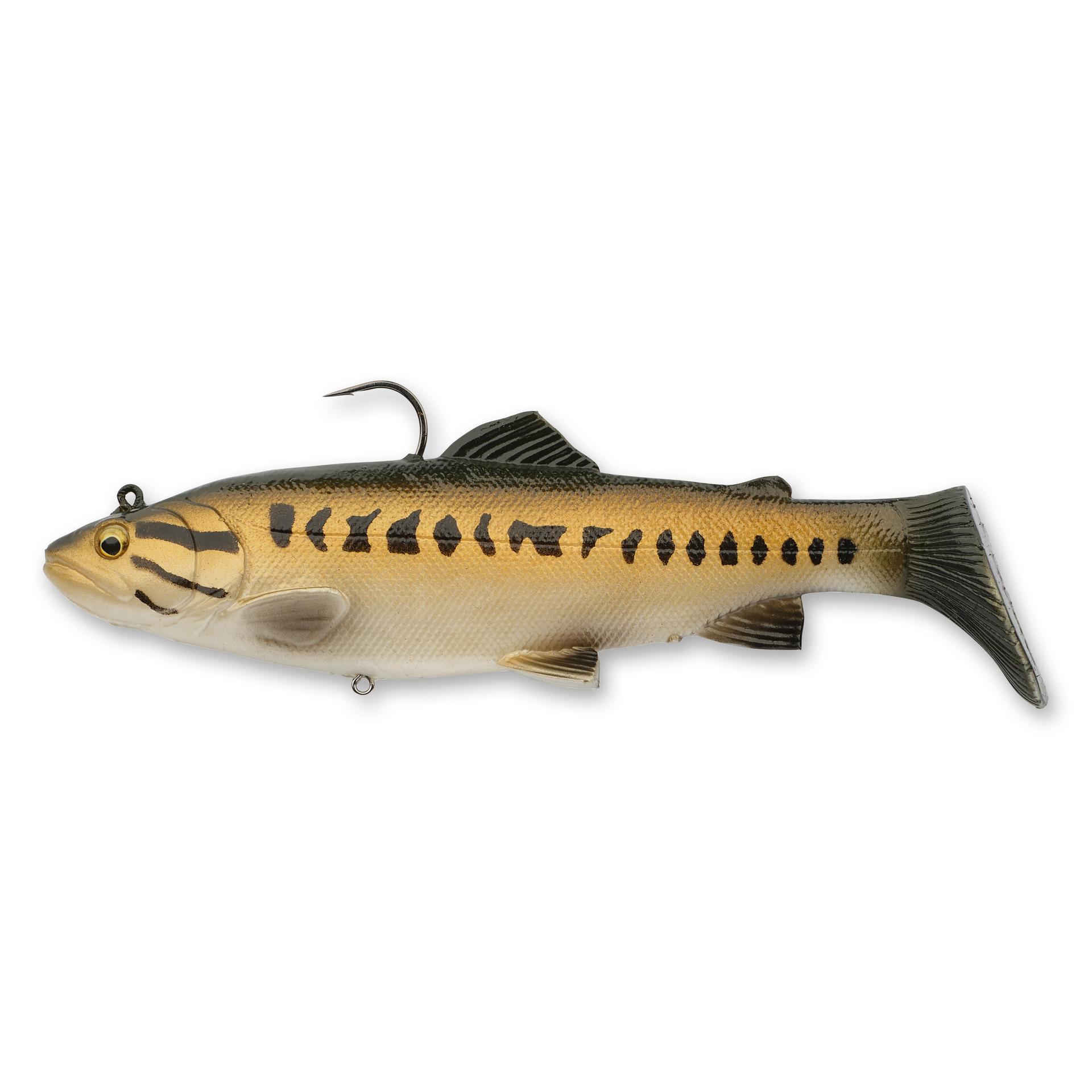 3D Real Trout | Savage Gear® 