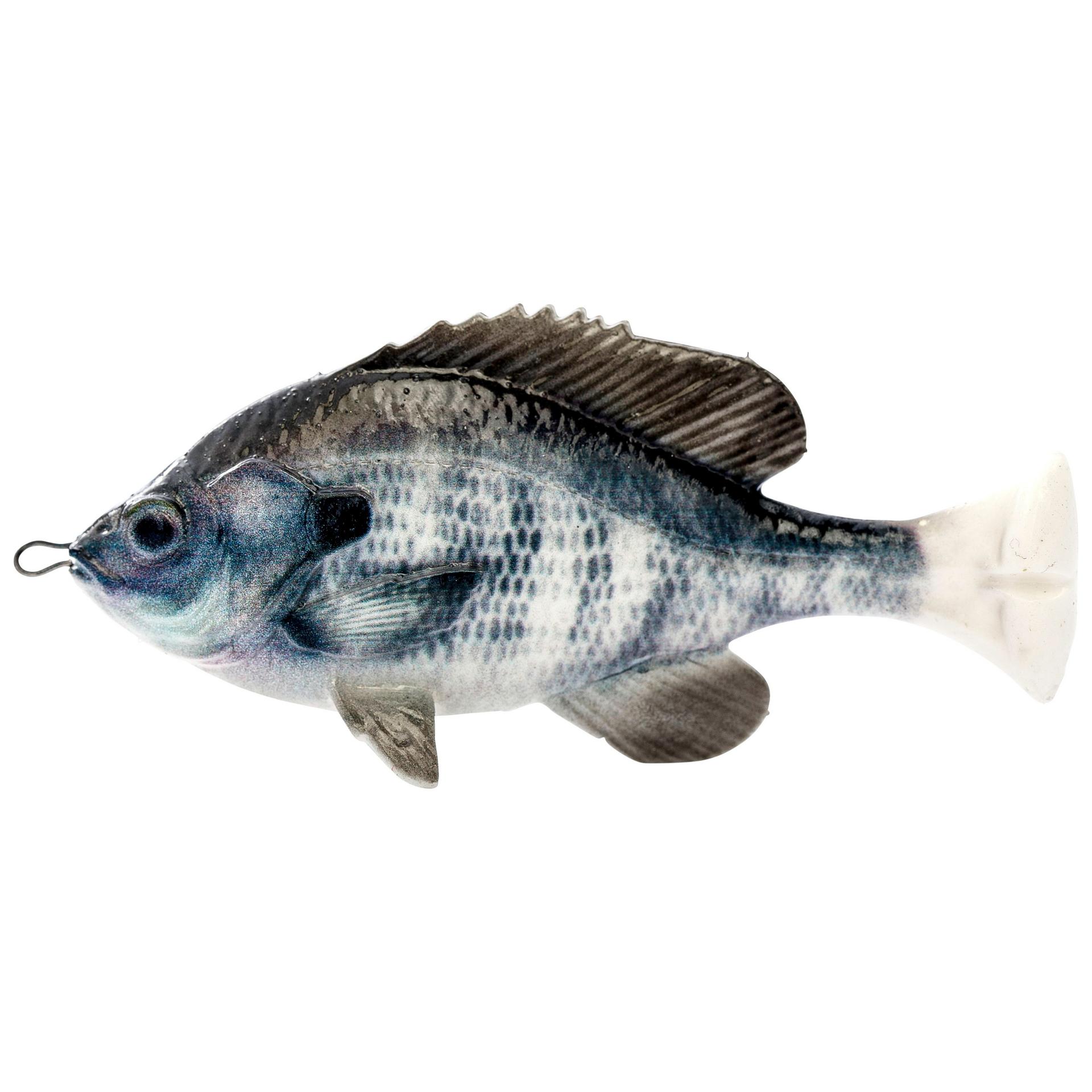 Pulse Tail Bluegill LB | Savage Gear® 