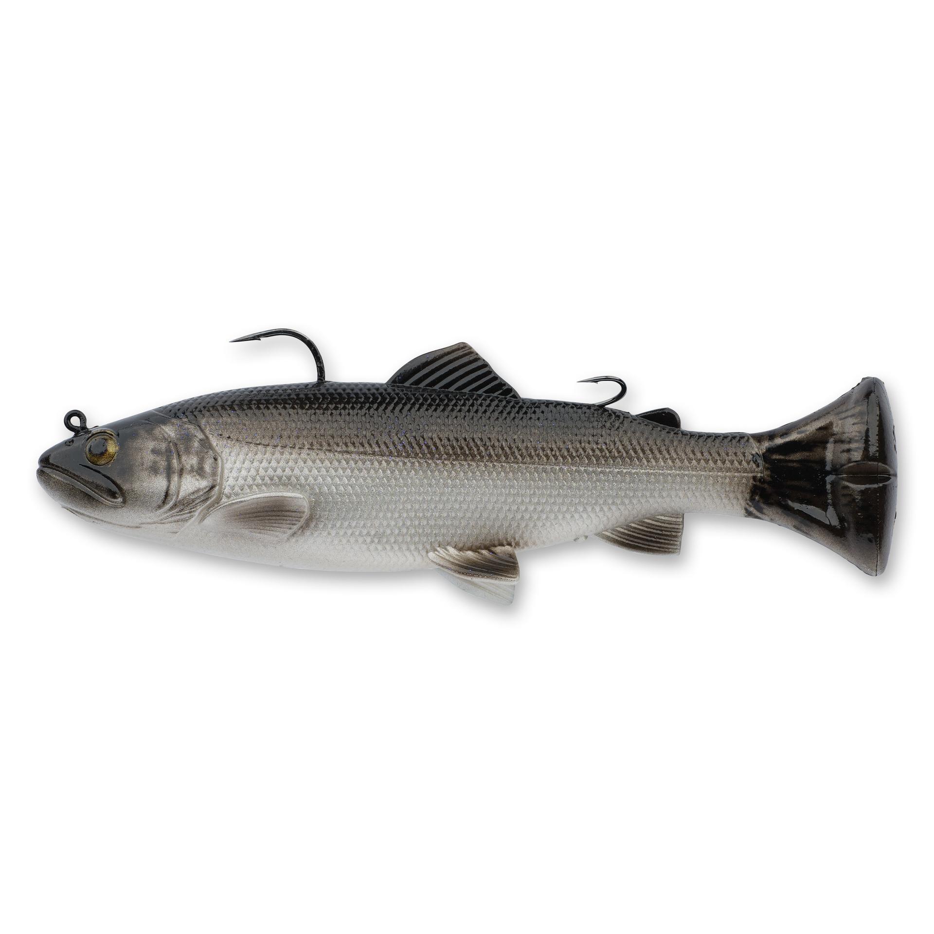 Pulse Tail Trout RTF | Savage Gear® 